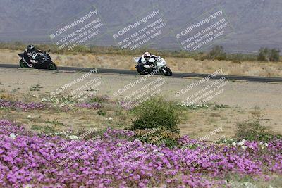 media/Feb-04-2023-SoCal Trackdays (Sat) [[8a776bf2c3]]/Turn 15 Inside Blooming (1050am)/